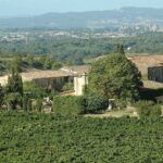 Salon du vin et des gourmets arles lions club