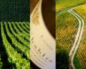 Salon du vin et des gourmets arles lions club