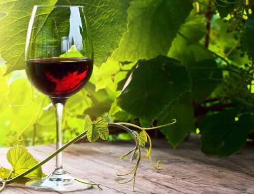 CLOS FARDET MADIRAN / Std 7