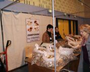 Salon du vin et des gourmets arles lions club