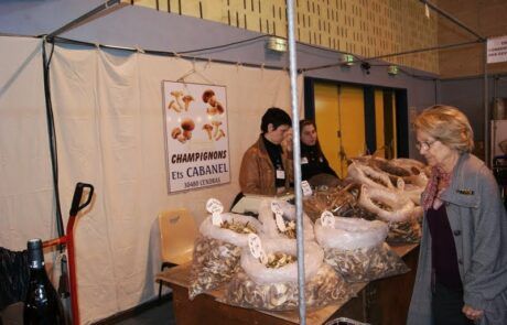 Salon du vin et des gourmets arles lions club